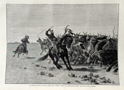 Antique print - Riverina stockmen c.1881  Ref: 888-069