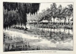 Antique print - Rowing on Upper Yarra River c.1881  Ref: 888-073