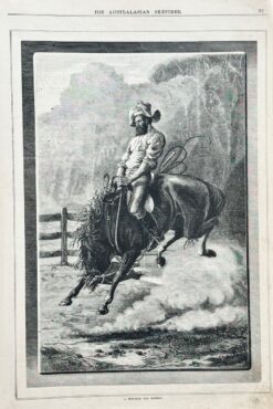 Antique print - Breaking in a brumby c.1882  Ref:  888-023