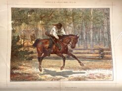 Aboriginal black tracker c.1881  Ref: 888-161